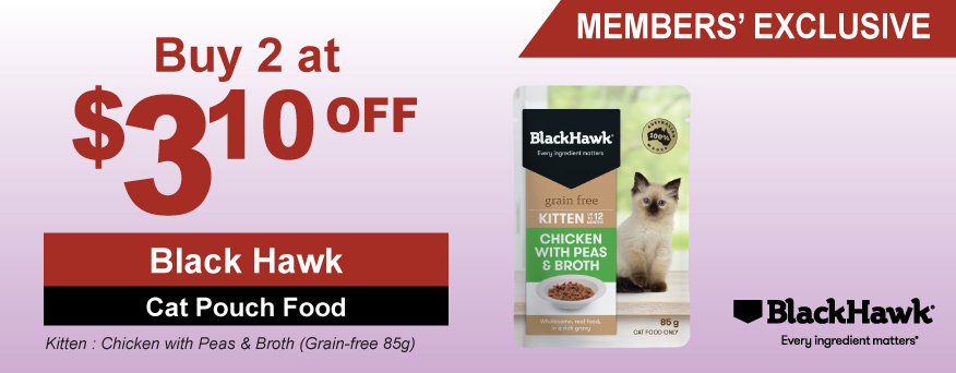 Black Hawk Cat Pouch Food Promo